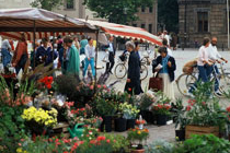 Market place Erlangen